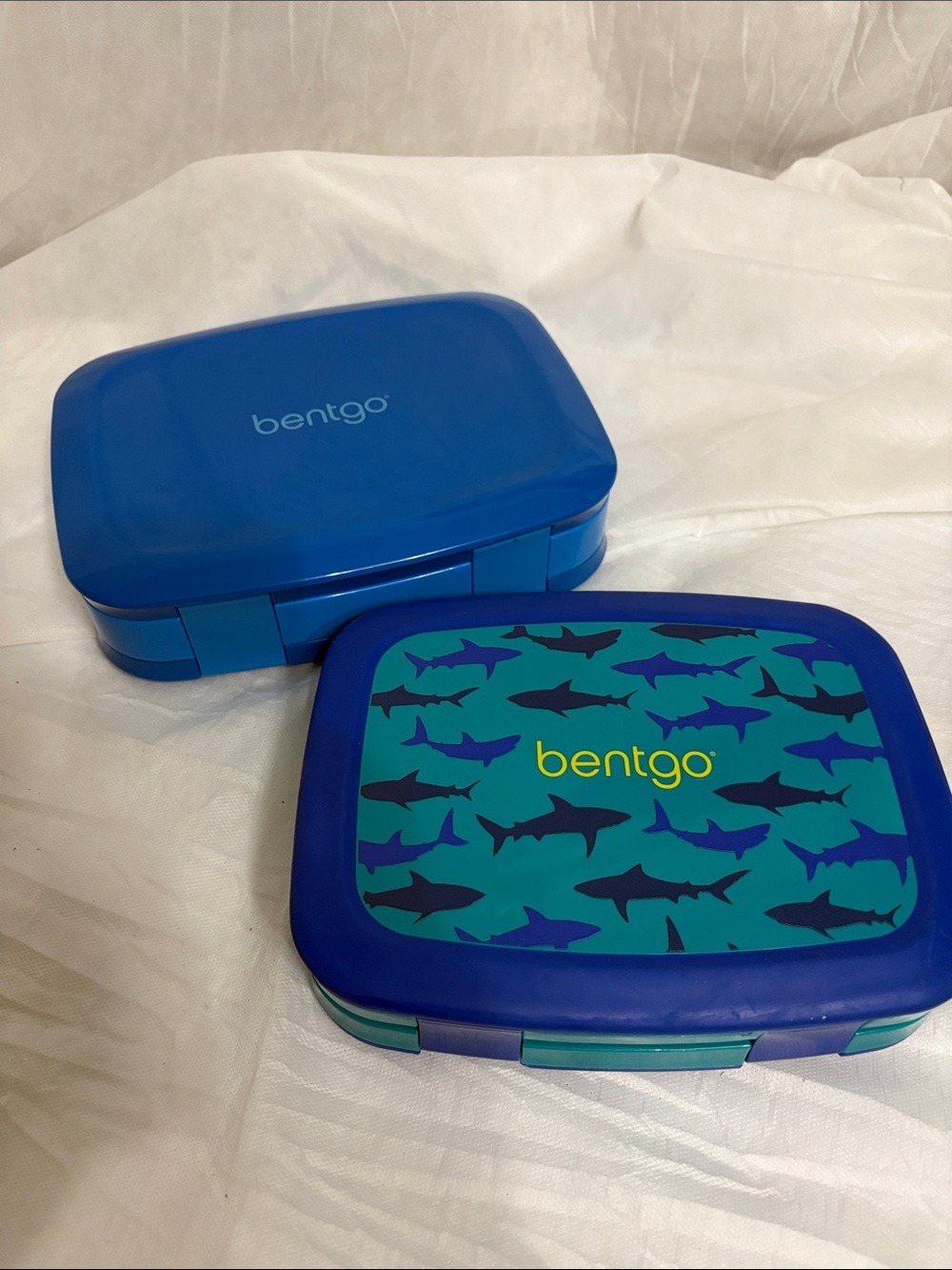 Bentgo Lunchbox bundle of 2